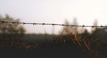 Brauchen wir besseren Tierschutz?