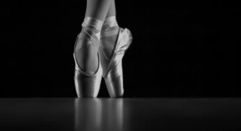 Die schrecklich schöne Welt des Balletts